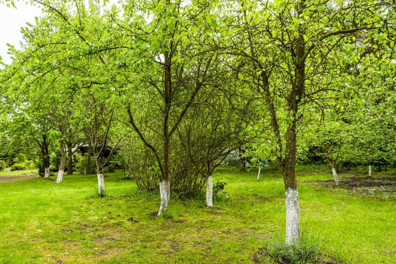 Farm stay Lesny Dworek *